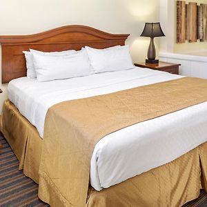 Suite 1 Phòng Ngủ có Giường Cỡ King
